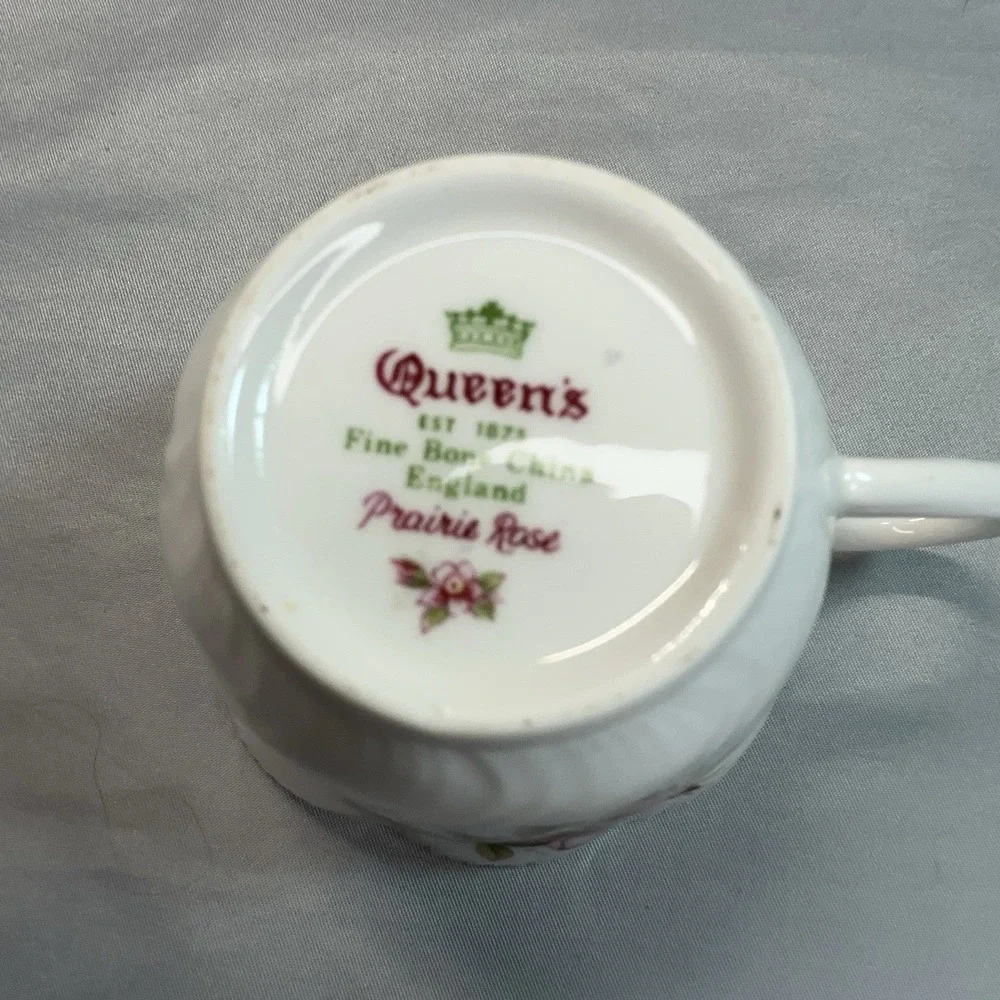 Queen's Prairie Rose Tea Cup and Saucer Banff Alberta England Bone China